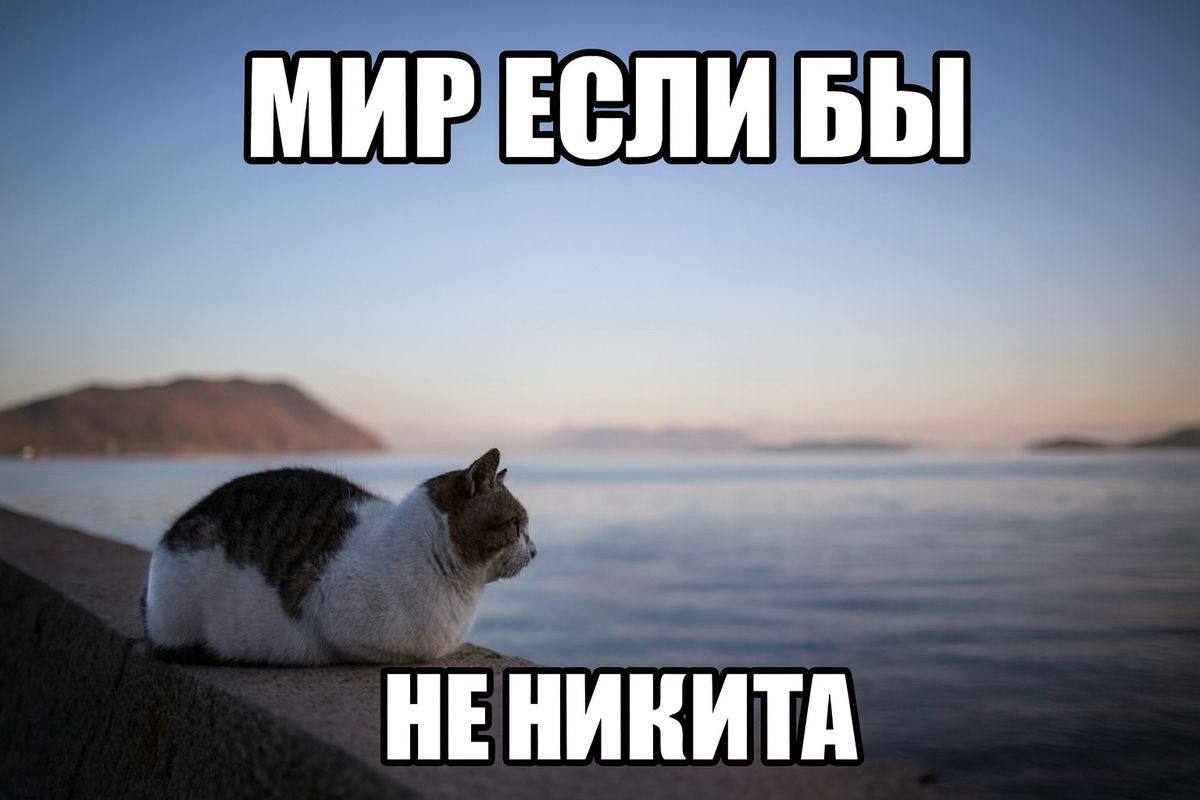 Жалко никитоса